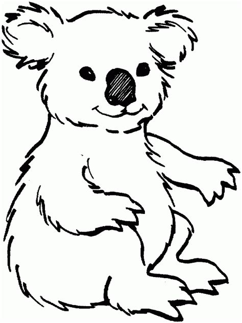 Koala Pictures To Print Coloring Home