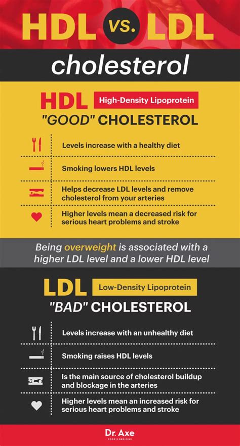 How To Increase Good Hdl Cholesterol Dr Axe Healthfitness In 2020