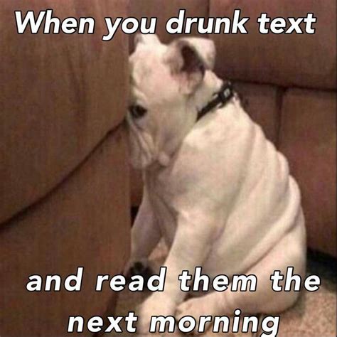 pin by traci on drunk humour drunk texts funny texts funny texts crush