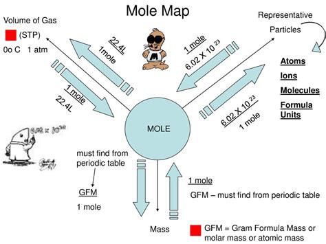 Mole Map Vlrengbr