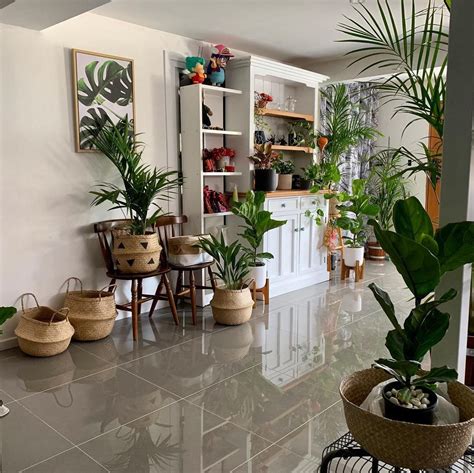 65 Best Indoor Plants For Apartments 2020 Best Indoor Plants Indoor