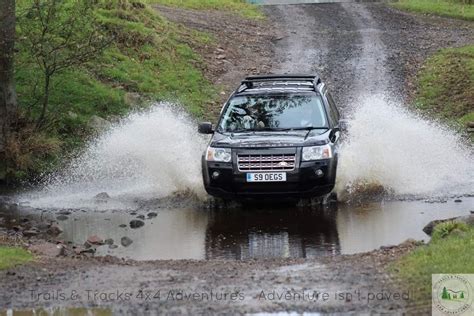 pic of the day derek finding his way around northumberland while avoiding the goose
