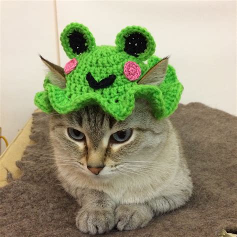 Crochet Hat For Cat Frog Hat Crochet Pattern For Pets Etsy