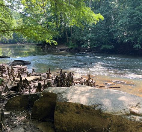 Bear Creek Is One Of The Best Hidden Gems In Mississippi