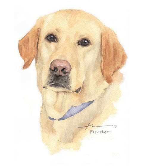 Labrador Dog Watercolor Portrait Painting By Mike Theuer