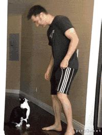 Compilation Gif Find Share On Giphy