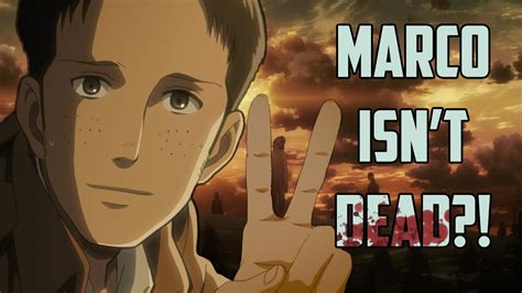 Marco Isnt Dead Attack On Titan Mind Blown Youtube