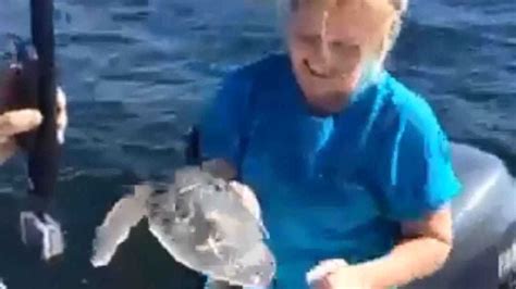 Web Extra Sea Turtle Released Into Gulf Of Mexico
