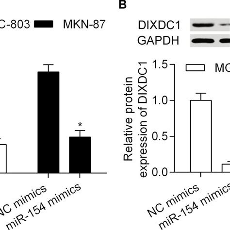 Mir 154 Inhibits Dixdc1 Expression Mgc 803 And Mkn 87 Cells Were