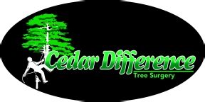 Cedar tree insurance discount offers. Cedar Difference Tree Surgeons About - Cedar Difference Tree Surgeons