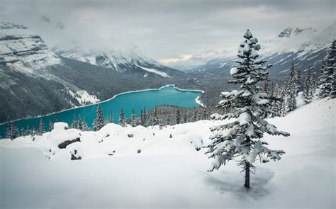 1230x768 Landscape Nature Winter Lake Snow Mountain Forest Turquoise