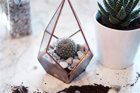 A Cute Diy Cactus Glass Terrarium