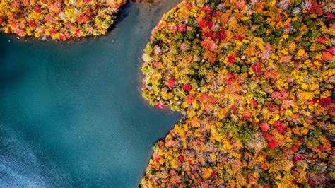 12 Best National Forests For Fall Foliage Outside Online