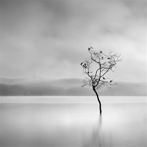 Minimalist Photographer Captures Dramatic Depth Of Nature In Black And