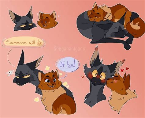 Pin On Warrior Cats Boi