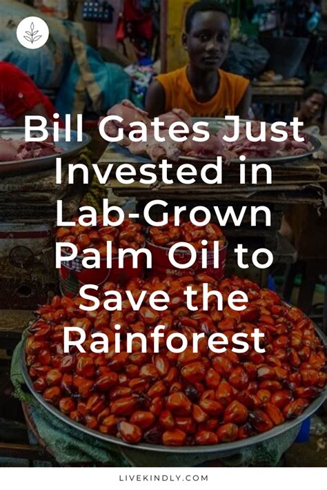 Bill Gates Just Invested In Lab Grown Palm Oil To Save The Rainforest