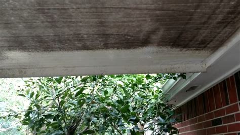 How to remove mold from ceilings. PowerHouse Pressure Washing - Patio Ceiling Mold Removal ...