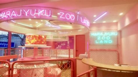 As the leading and largest café chain in malaysia, secret recipe grew rapidly and currently operates more than 440 outlets, across the region. A new "kawaii" zoo café opens in Takeshita Street ...