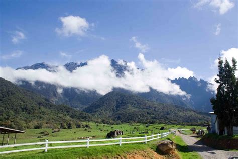 However, it was a cloudy day and the clouds shrouded the peak of mt. Car Rental in Kota Kinabalu | Hawk Rent A Car