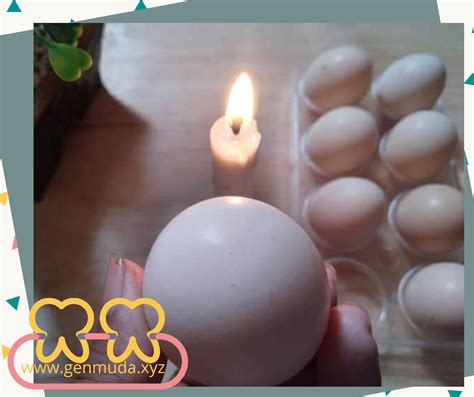 Trik dan Tips Memilih Telur Ayam Layak Konsumsi