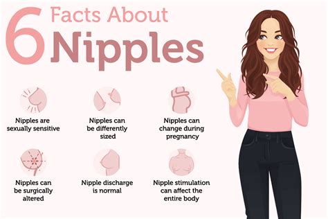 Penis Nipple