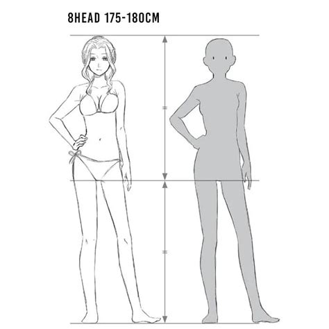 A Woman S Body Is Shown With The Measurements For Her Torso And Waist