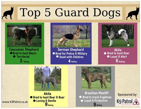 Top 5 Guard Dogs Animals Pinterest Tops Guard Dog