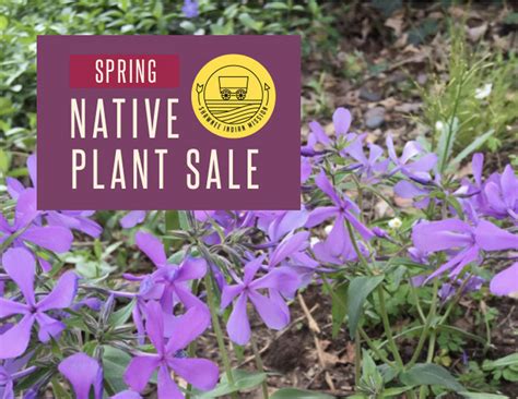 Spring Native Plant Sale Shawnee Indian Mission Foundation