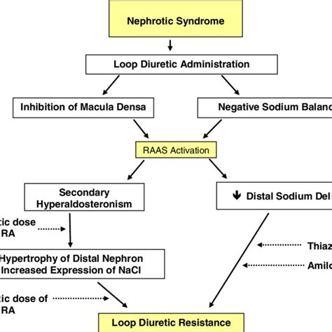 Pdf The Nephrotic Syndrome Pathogenesis And Treatment Of Edema