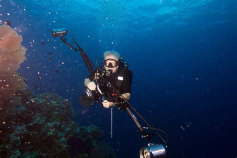6 Steps To Becoming An Better Underwater Photographer