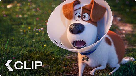 Parenting Advice Movie Clip - The Secret Life of Pets 2 ...