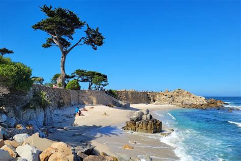 Las 12 Mejores Playas De Monterey Ca ️todo Sobre Viajes ️