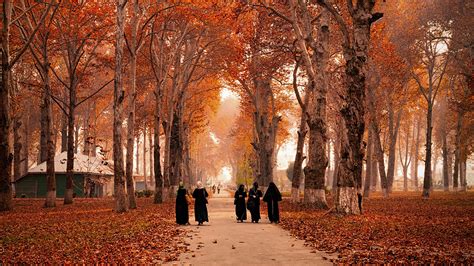 Autumn In India Add These Places To Your Bucket List