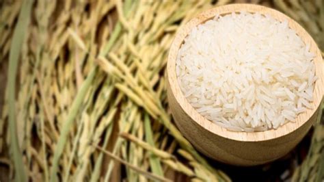 A Detailed Analysis On Rice Supply Import And Future Market In Philippines Rice Milling