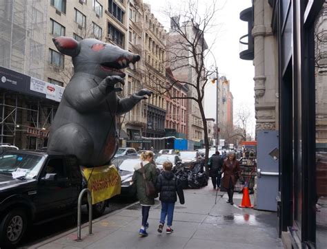 New York Cliché Of The Day Giant Inflatable Rats New York Cliché