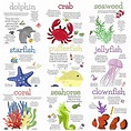Ocean Life Printable Posters | Ocean animals preschool, Ocean theme ...