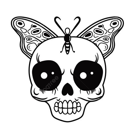 Black And White Drawing Of A Butterfly Skull Outline Sketch Vector