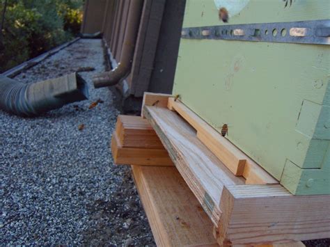 Such a hive is about the same size as a standard hive, and is enlarged for surplus space by providing upper storeys (supers), as with a the entrances can be holes either down the sides or at one end. Illustrated Glossary of Beekeeping | Overall Gardener