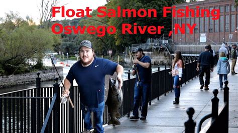 Oswego River Salmon Float Fishing Salmon Fishing 2022 Salmon
