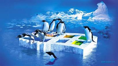 Windows Penguins Linux Ice Xp Pc Wallpapers