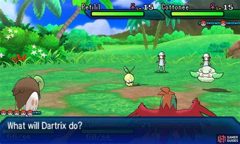 Double Battles Pokémon Battles Gameplay Pokémon Ultra Sun And Moon