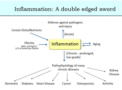 Patho chapter 5 inflammation Flashcards  Quizlet