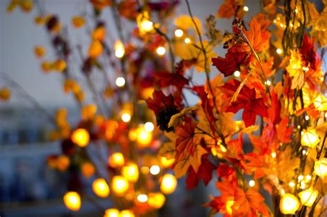 A Photographers Life Autumn Lights