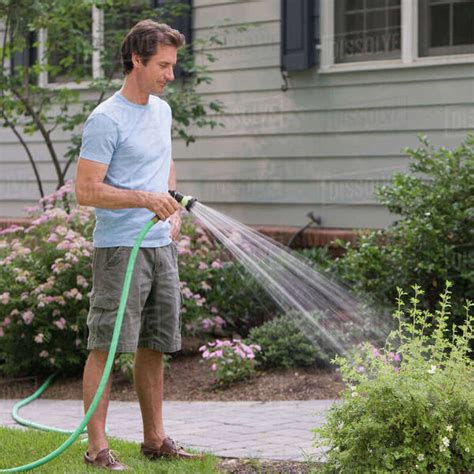 Man Watering Plants Stock Photo Dissolve