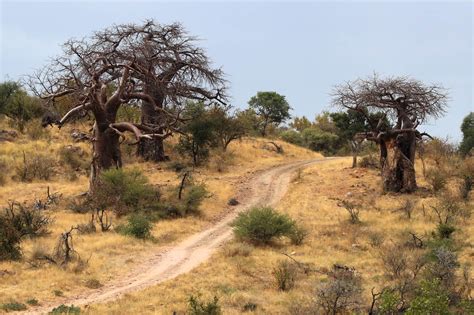 36 of the best tourist attractions in limpopo south africa travel blog