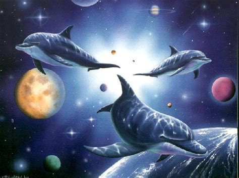 48 Free Animated Dolphin Screensavers Wallpaper