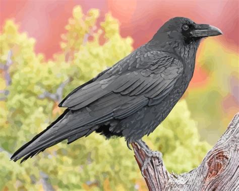 Raven Bird Paint By Numbers Numeral Paint Kit