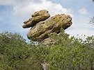 Duck rock, Chiricahuas, South East Arizona, United States of America (c ...