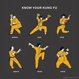 Types Of Kung Fu Fighting Styles Photos