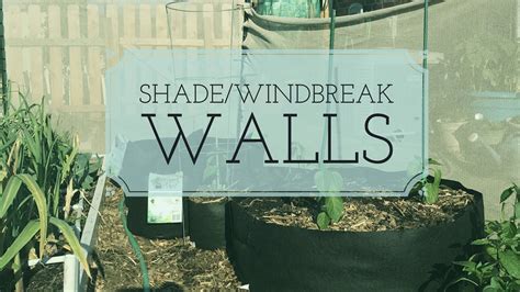 Building An Easy Diy Afternoon Shade Windbreak Wall From Seed To